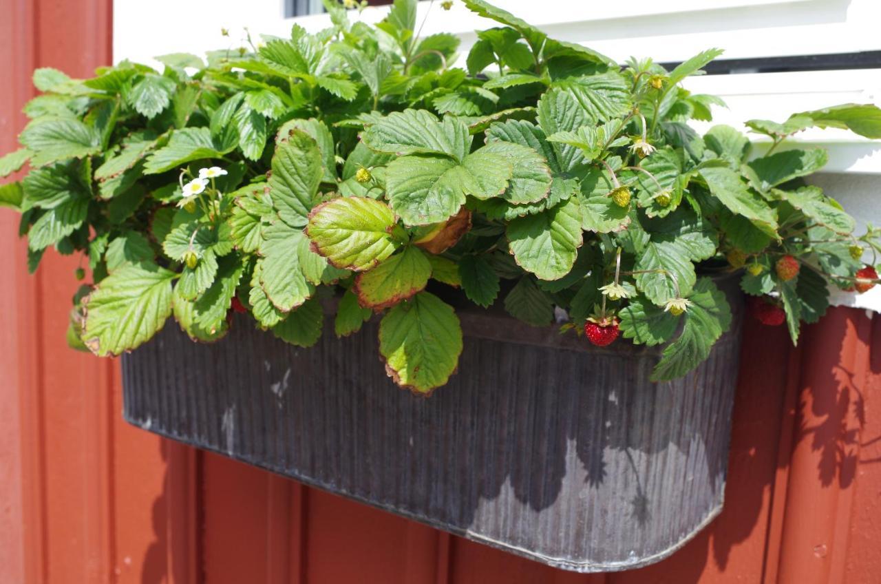 Holiday home Ekereds Gardsstuga Dalstorp